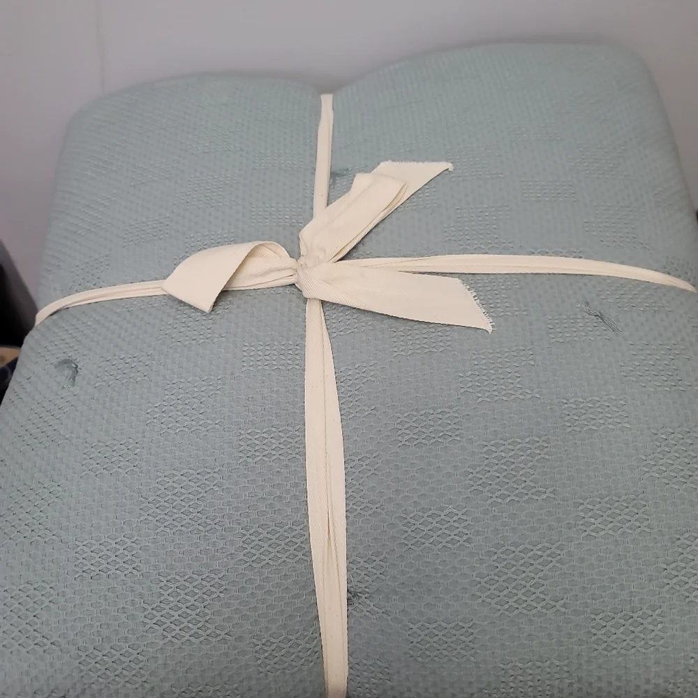 Southern Living Simplicity Collection Shay  Comforter
